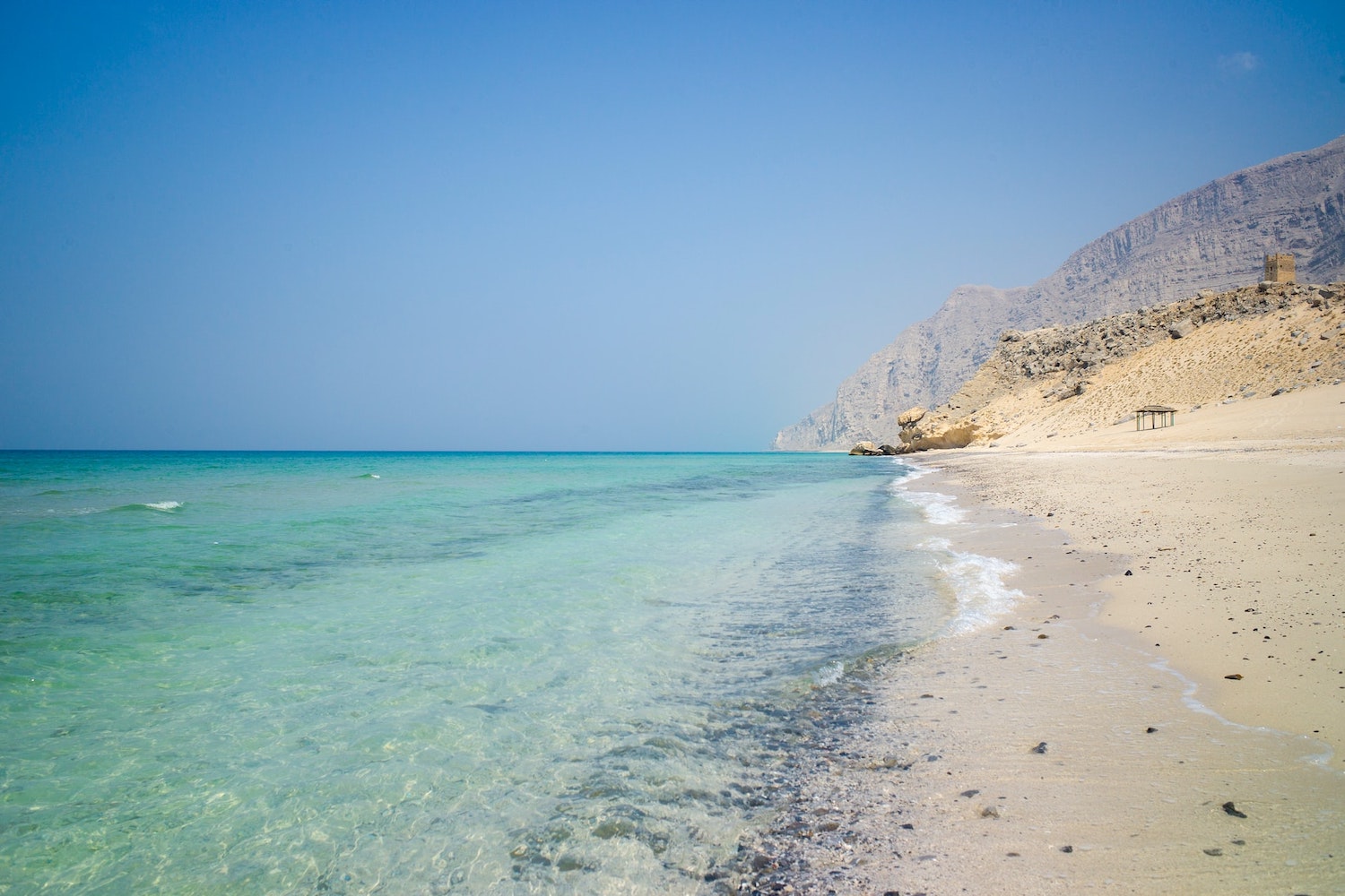 Camels & Turtles of Oman