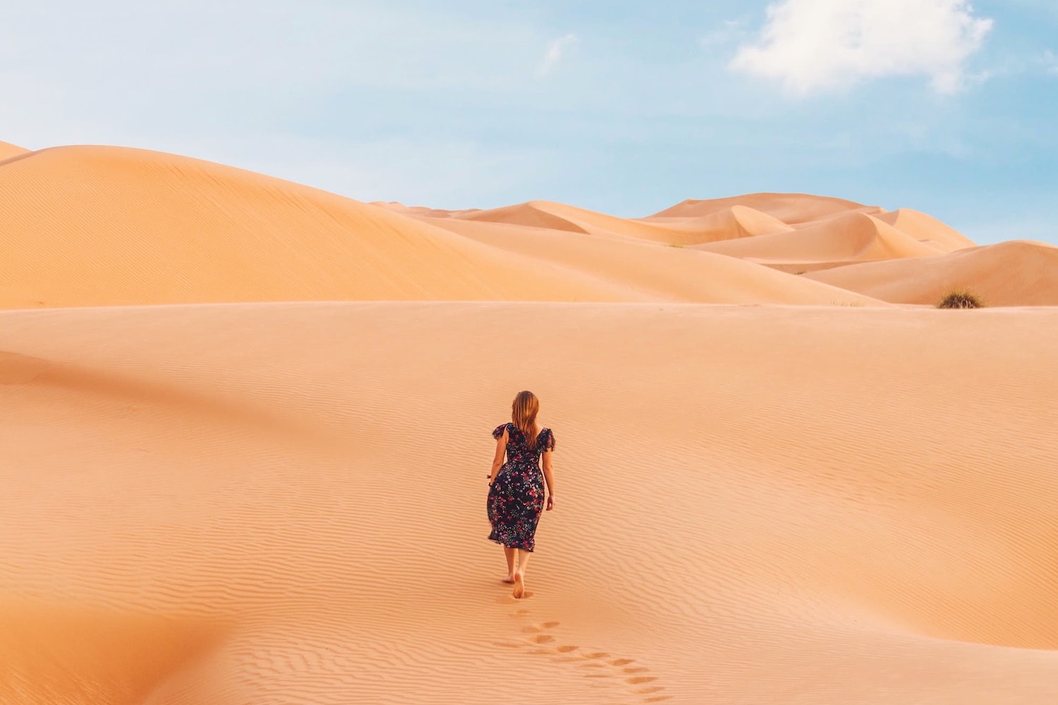 Safari In The Sea Of Sands