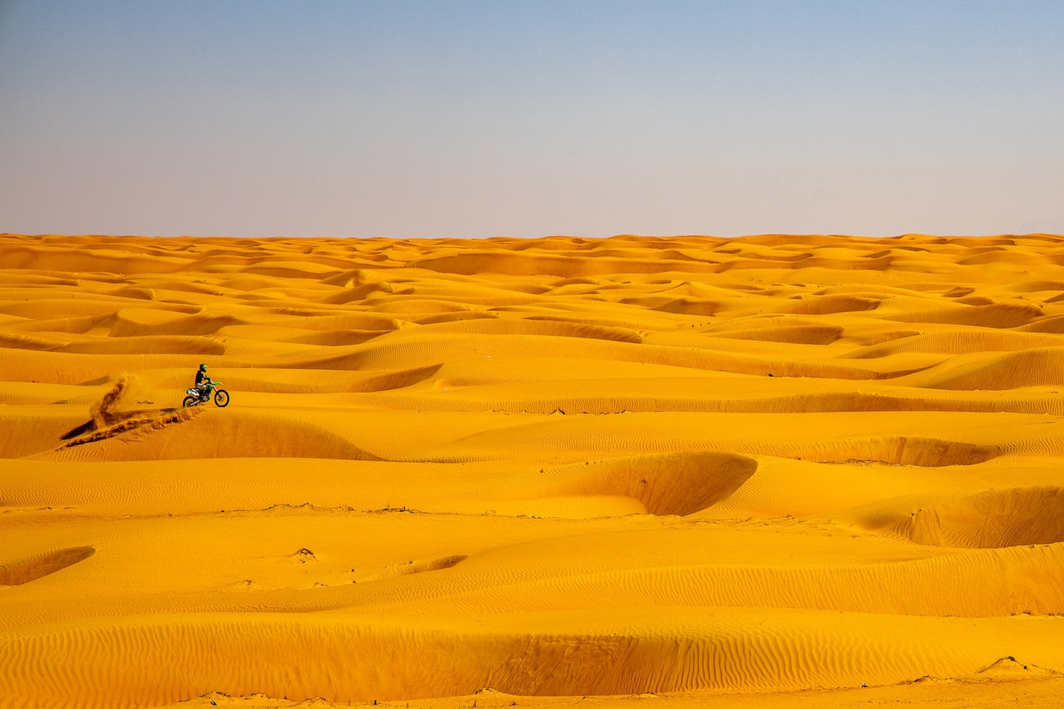 Safari In The Sea Of Sands